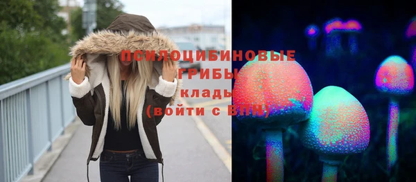 каннабис Арсеньев
