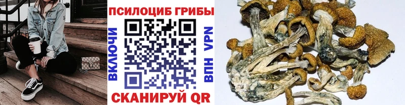 Галлюциногенные грибы мухоморы как найти наркотики Починок